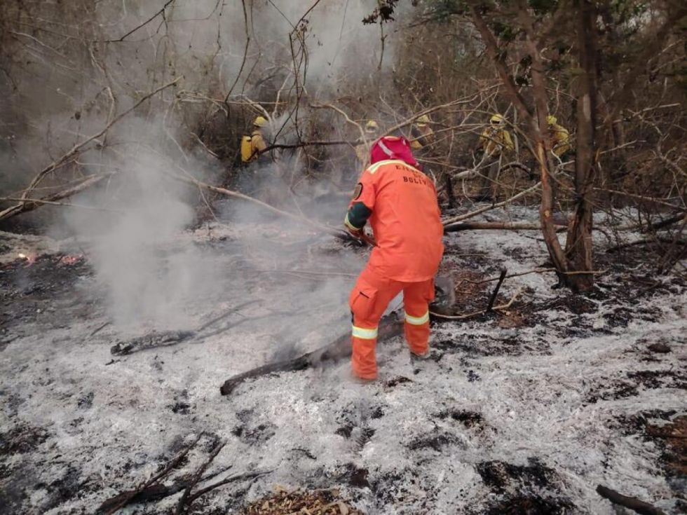 ABT activa 48 procesos penales por incendios