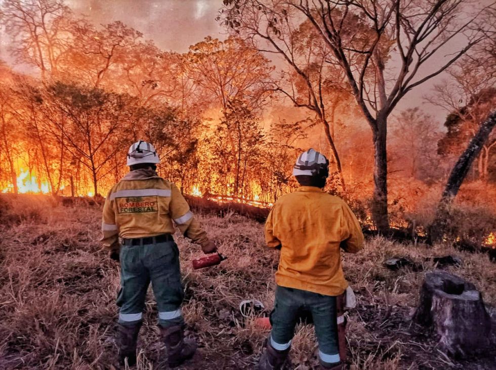 Bomberos combaten incendios en 22 municipios