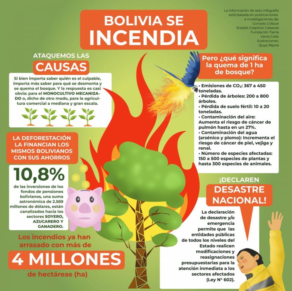 Arriba al país, la comisión de Brasil que se instalará en San Ignacio para el operativo contra los incendios forestales