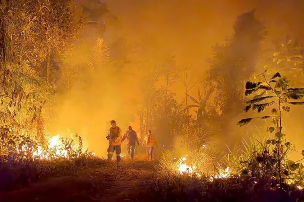 Incendios: El daño, el clamor por las lluvias y las recomendaciones