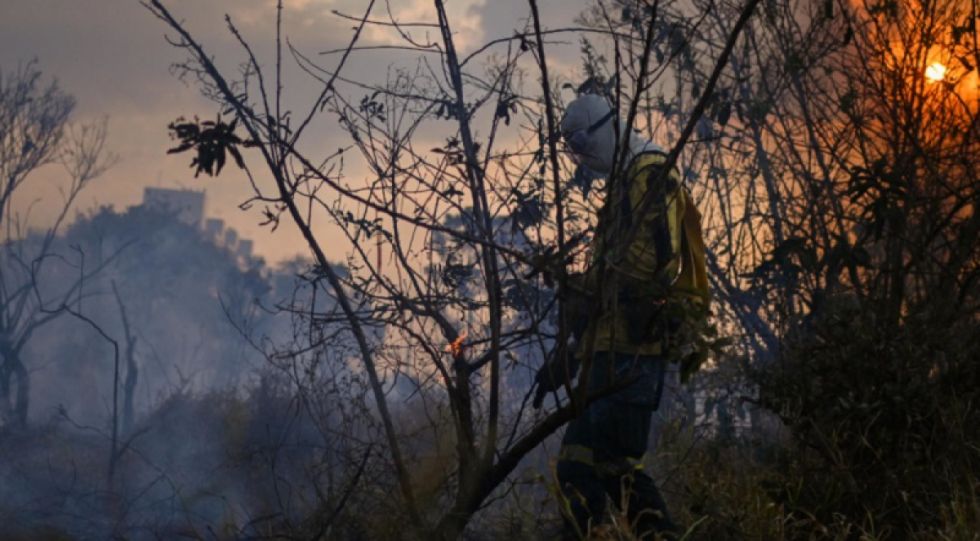 Brasil agobiada por sequía e incendios