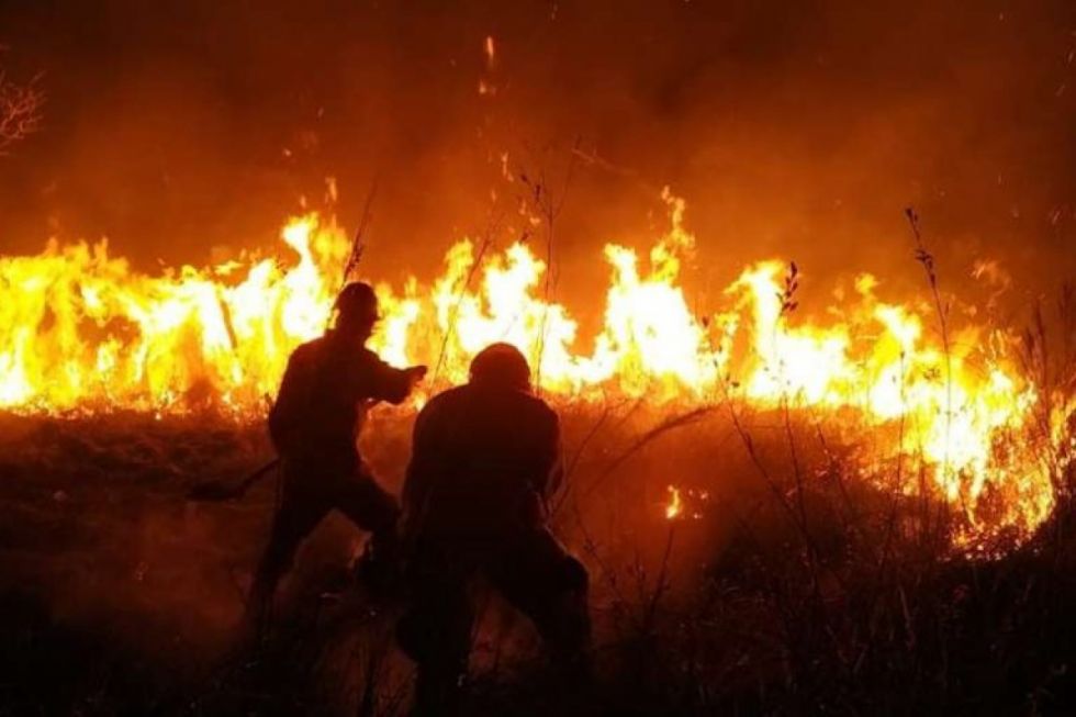Emergencia en Santa Cruz: Tres incendios amenazan con unificarse en Monte Verde 
