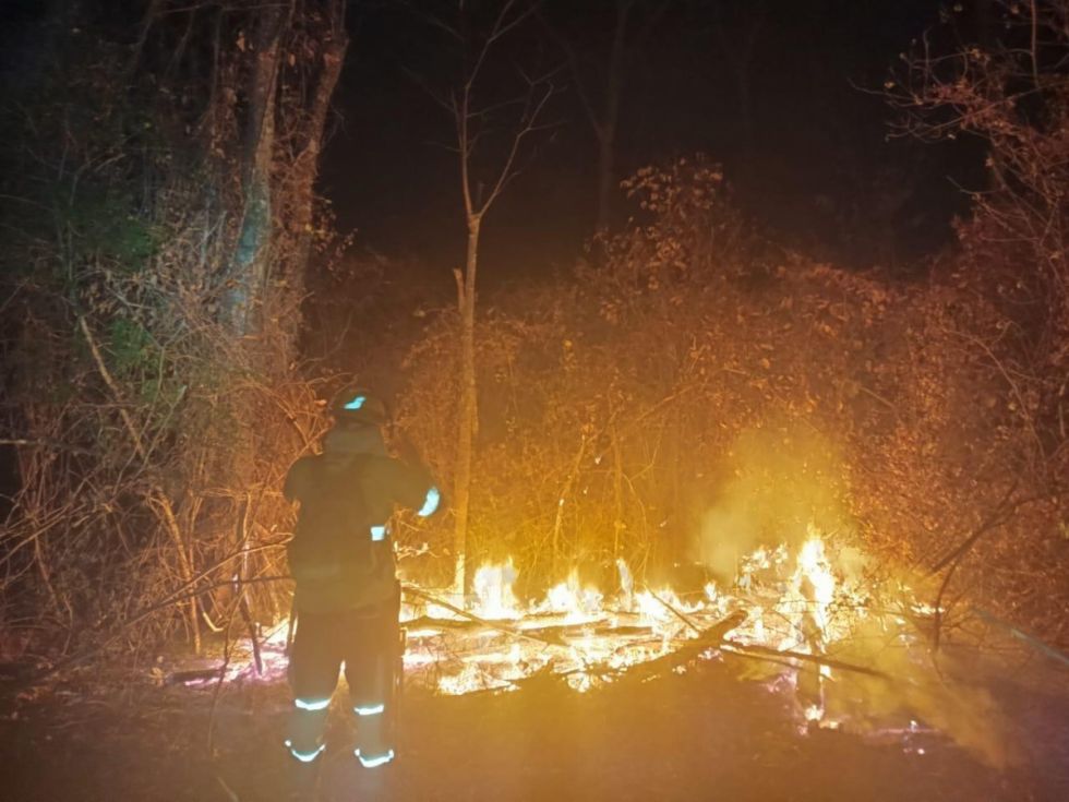 El COED de Santa Cruz alerta que los incendios ya consumieron más de 5 millones de hectáreas