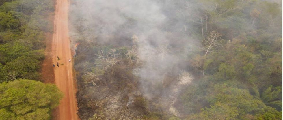  Incendios forestales en Bolivia superan anualmente la superficie de Tarija