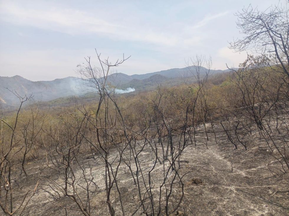 El fuego no da tregua en Santa Cruz y se reportan hasta el momento 49 incendios activos