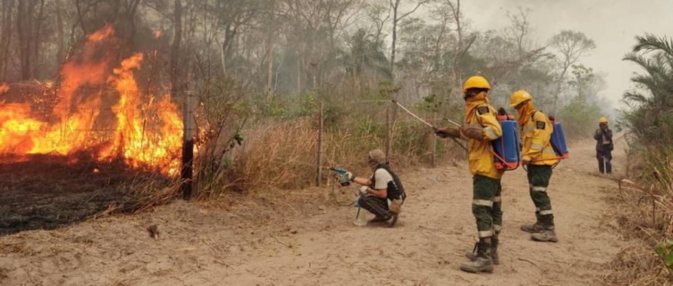 Gobierno atribuye los incendios del país a grupos organizados 
