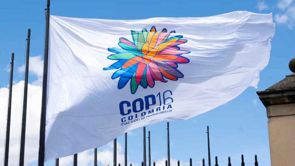 Colombia: COP16 culminó en Cali con logros parciales