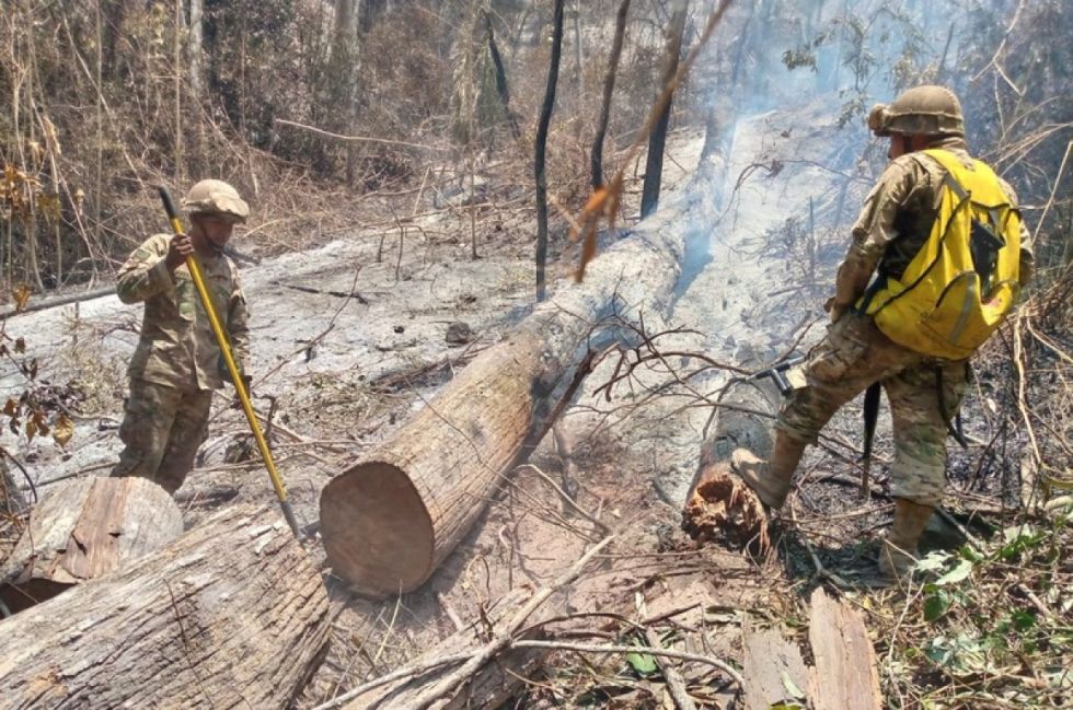 Defensa Civil: incendios en Madidi están ‘controlados’