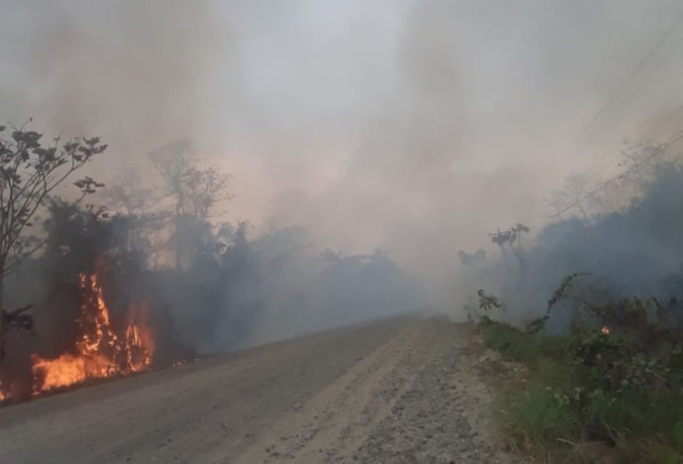 Denuncian chaqueo ilegal en Ixiamas