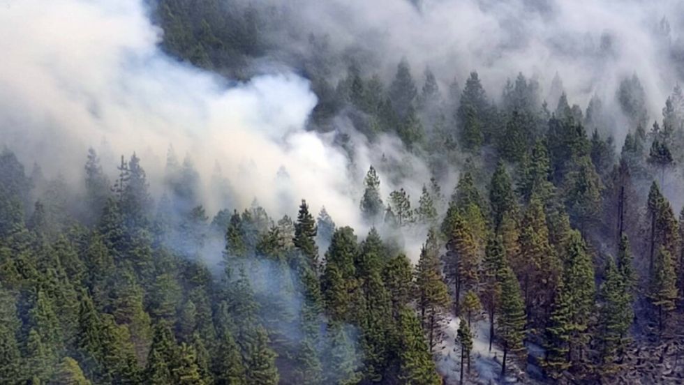 Ecuador declara estado de emergencia nacional