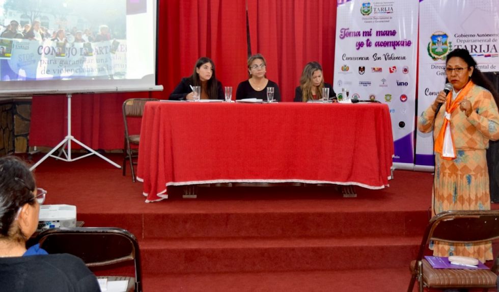 Gobernación cumplió 99% del plan de Ley de Alerta           