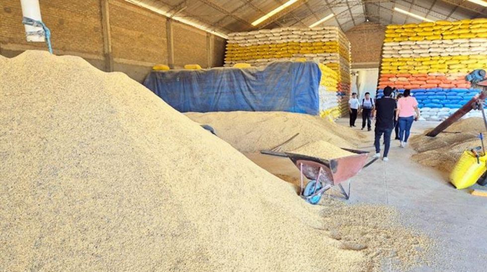 Fiscalía interviene cinco ingenios y secuestra arroz que será puesto a disposición de Emapa