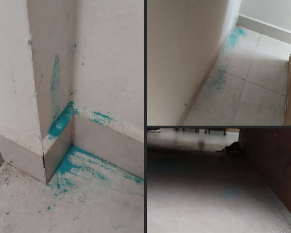 Evo denuncia que atentaron contra su vida usando fungicida