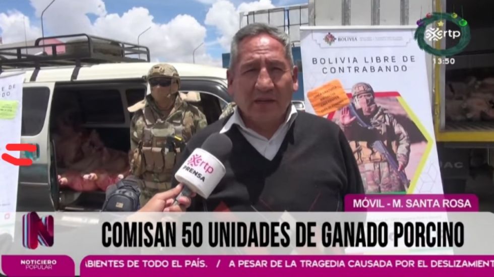 Decomisan ganado porcino que se transportaba a Perú