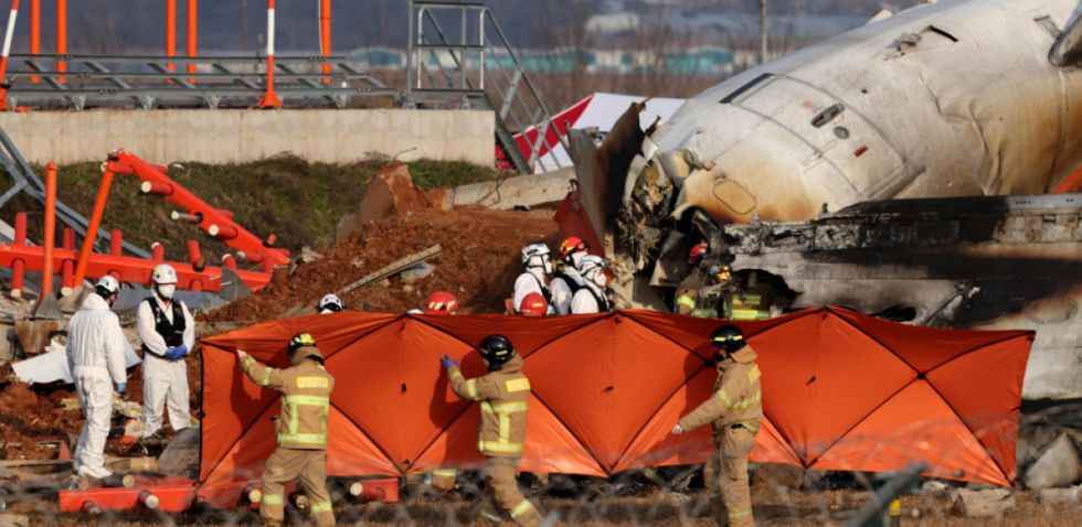 Tragedia aérea en Corea: la hipótesis de los pájaros