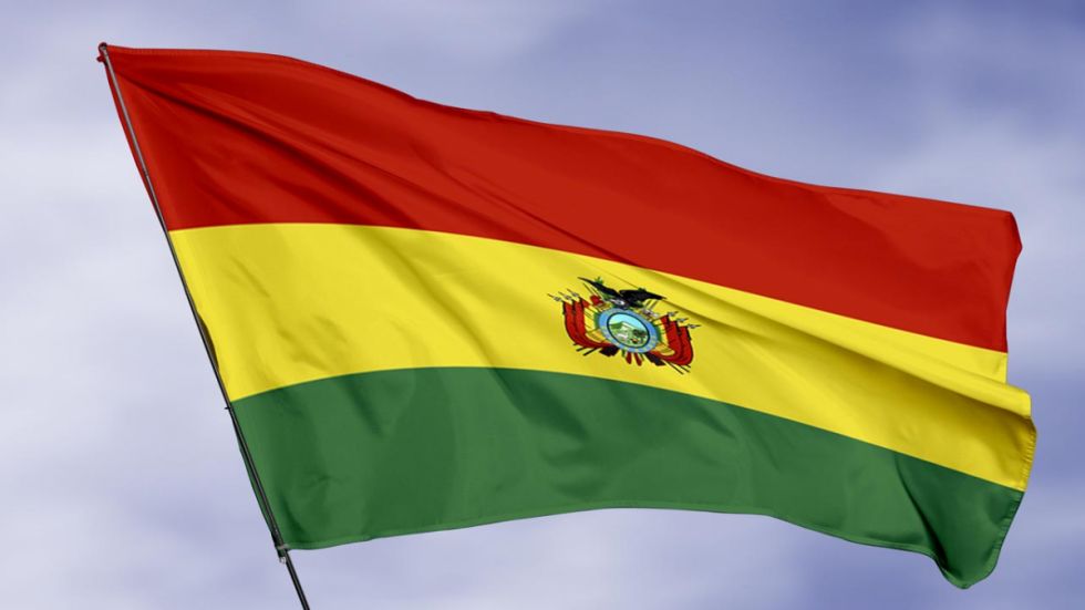 Gobierno decreta embanderamiento general para conmemorar el Bicentenario