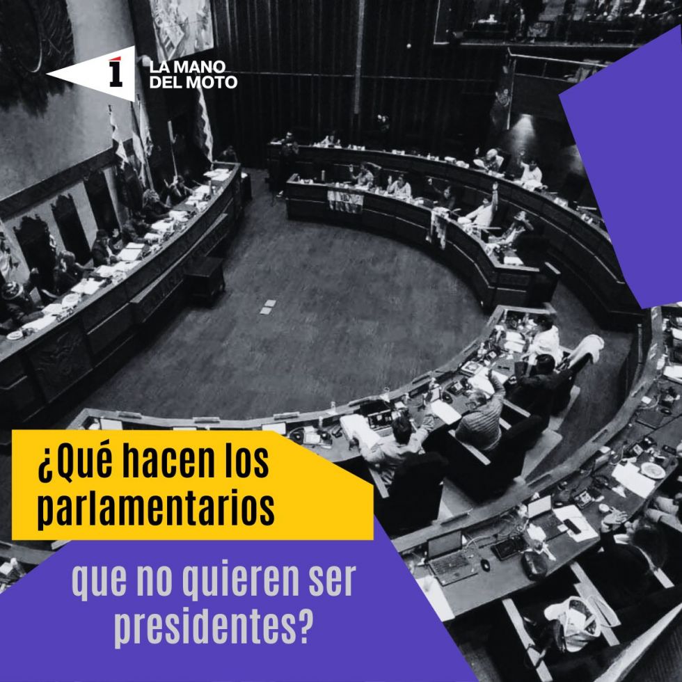 ¿Qué quieren los parlamentarios que no quieren ser presidente?