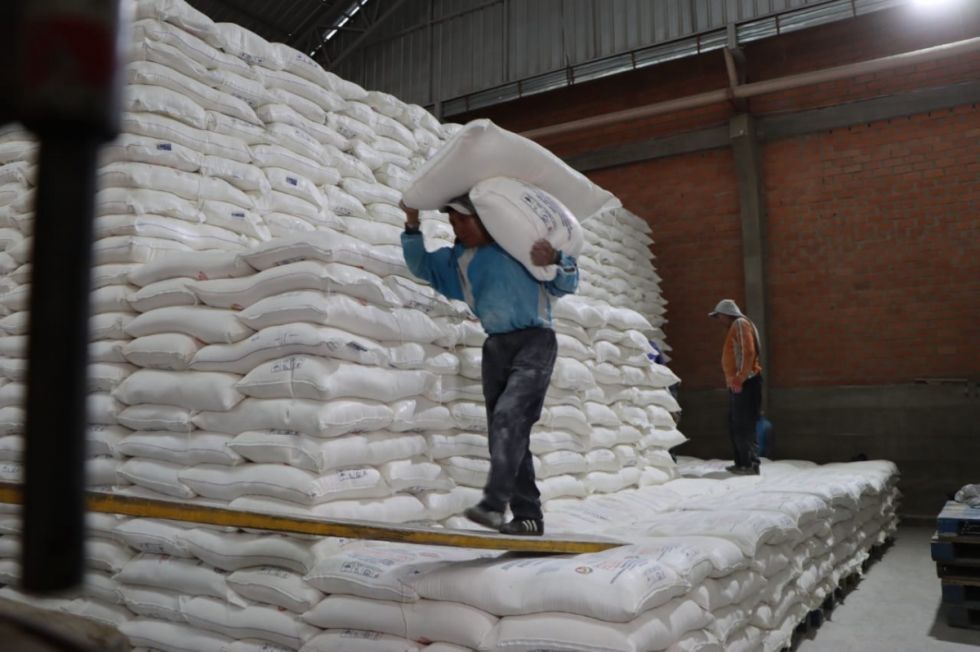 Gobierno destinará 528 millones para la subvención de alimentos
