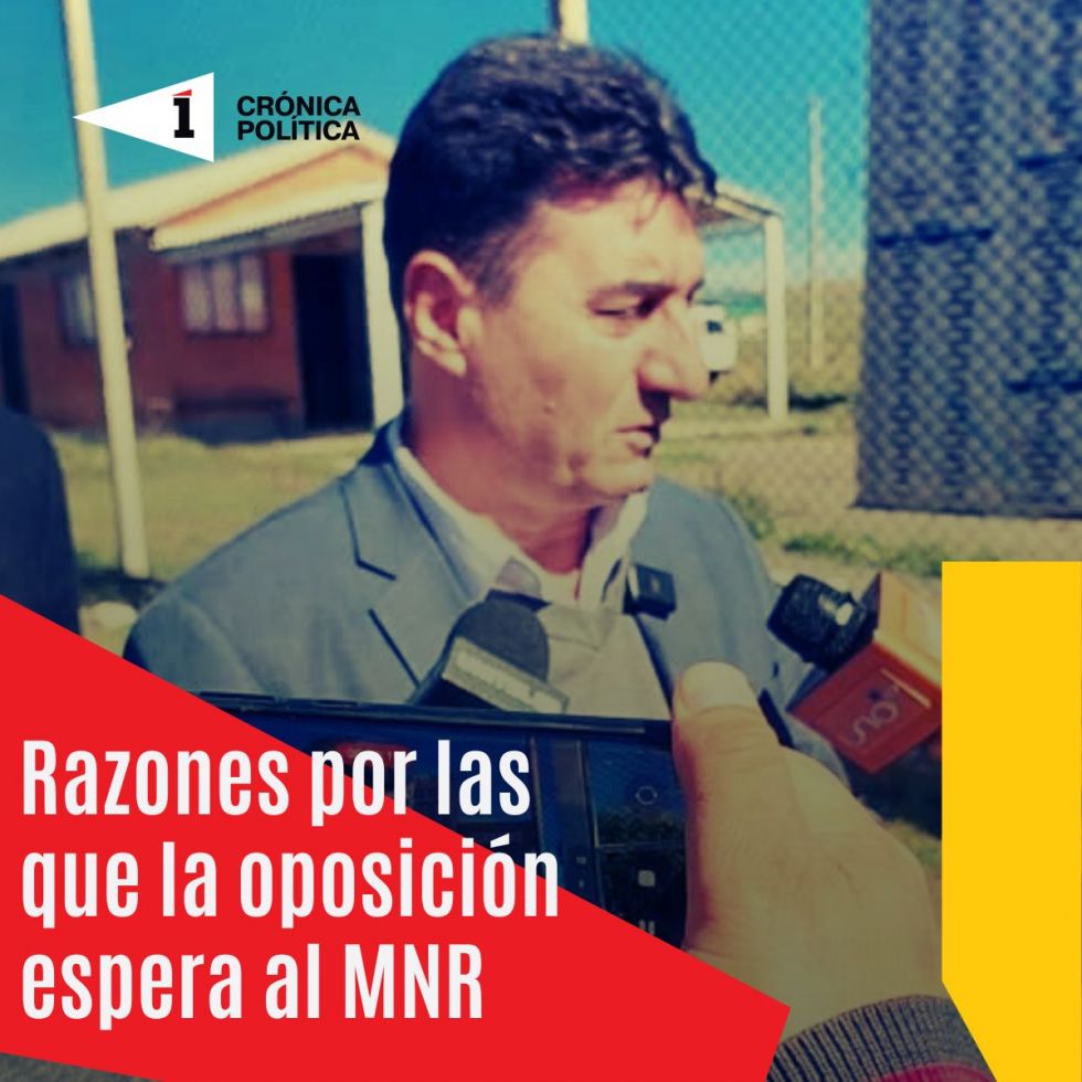 Razones por las que la oposición nacional aún espera al MNR