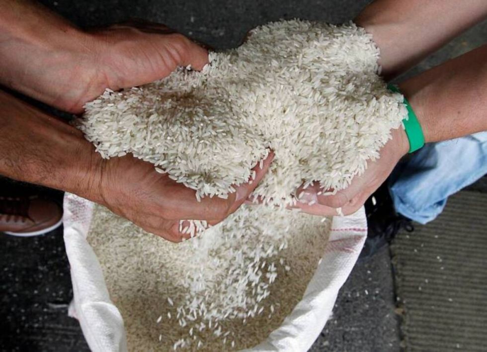 Gobierno y arroceros acuerdan para febrero reunión destinada a fijar precios del arroz