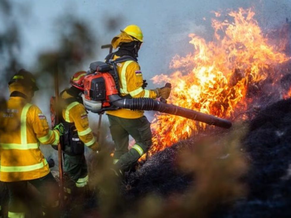 Colombia registra más de 170 incendios forestales