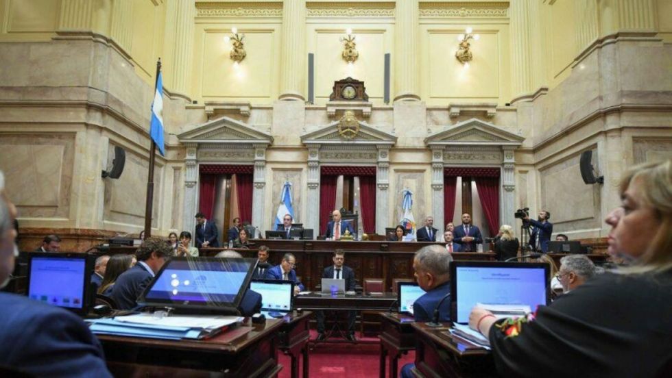 Argentina: aprueban suspensión de las PASO