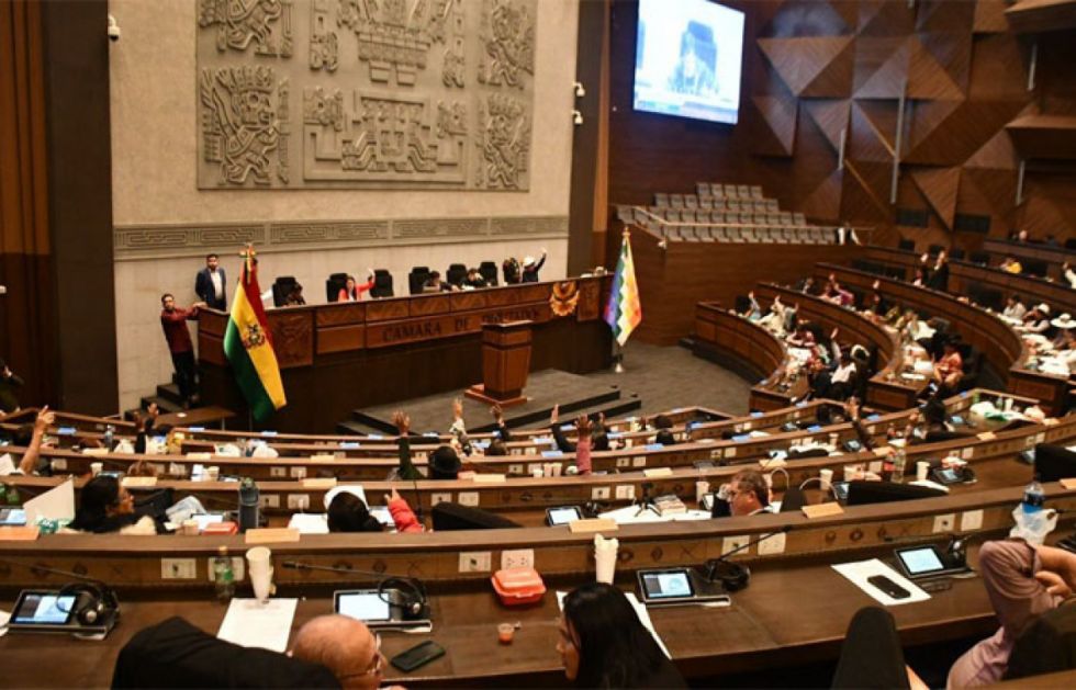 Litio: Diputados alerta en Carnaval