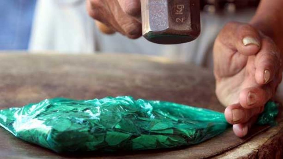 Coca ‘machucada’, alcohol y cansancio: La letal combinación que amenaza la seguridad vial