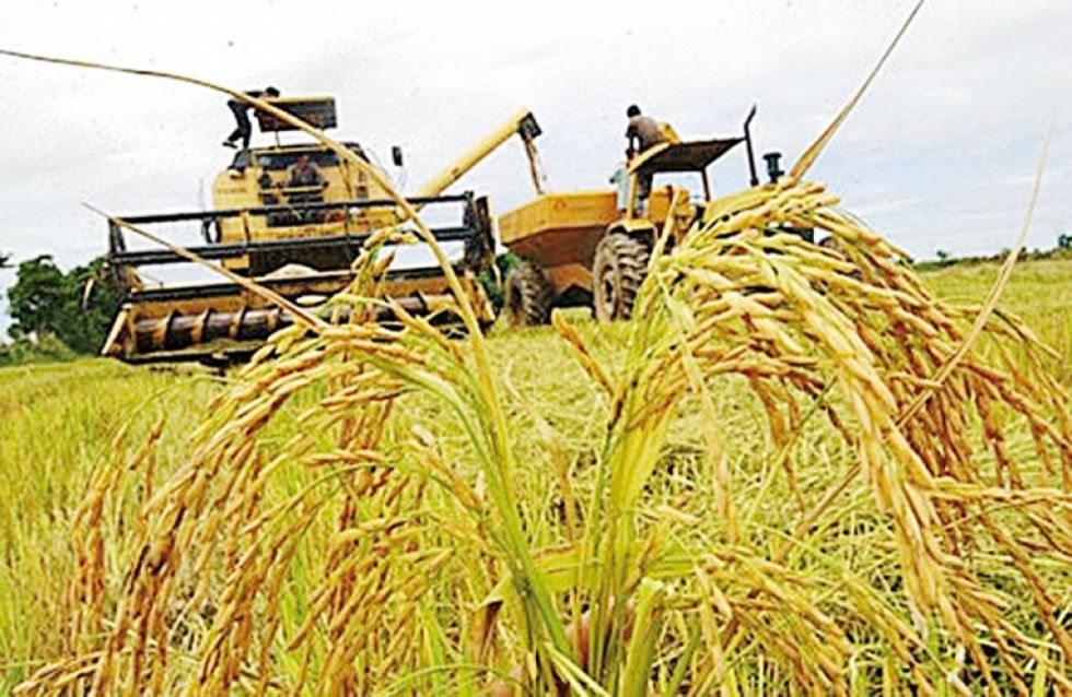 Ministro Flores descarta una crisis alimentaria
