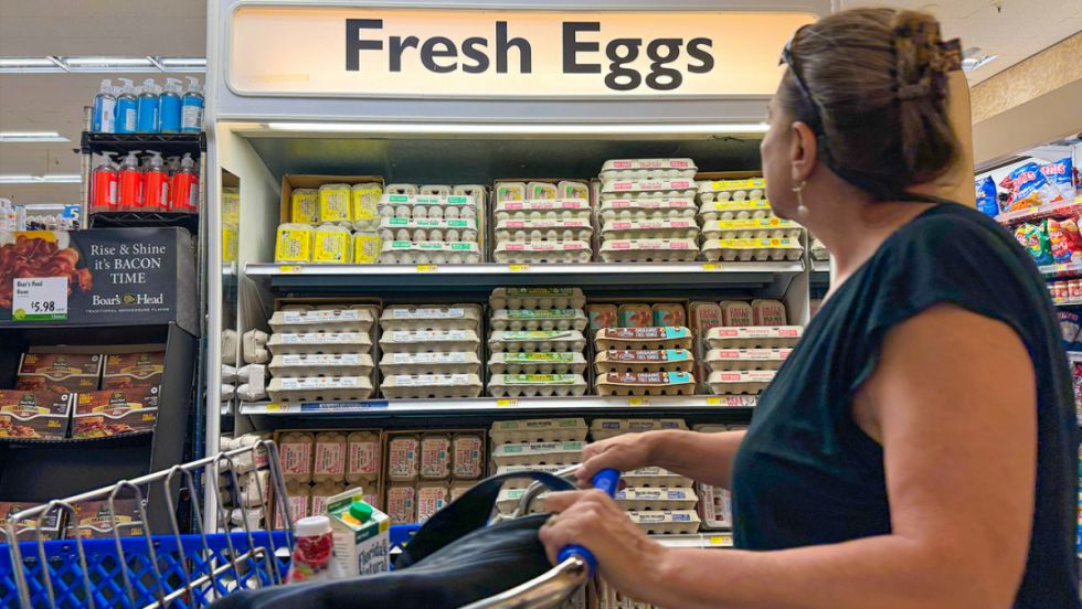 Estados Unidos pide huevos a Europa