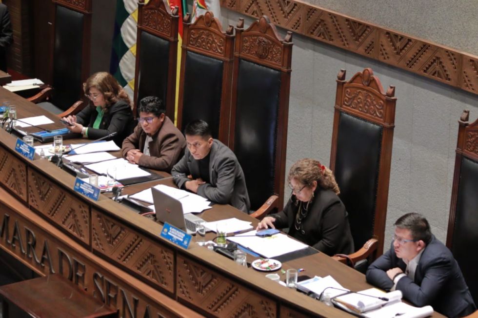 El Senado analiza crédito de la CAF por $us 75 MM para “eventos adversos del clima”
