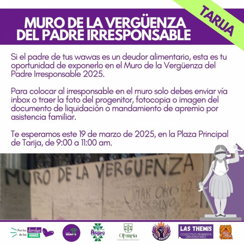 Tarija tendrá su primer “muro de la vergüenza del padre irresponsable” 