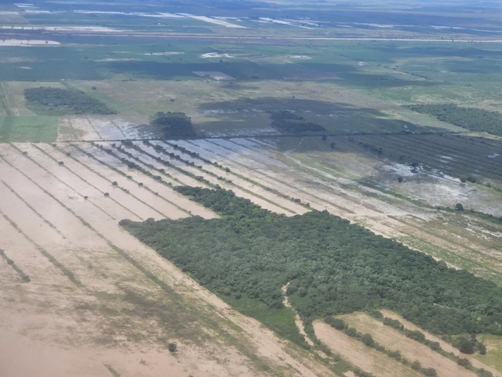 Arce promulga ley de crédito de la CAF por $us 75 MM