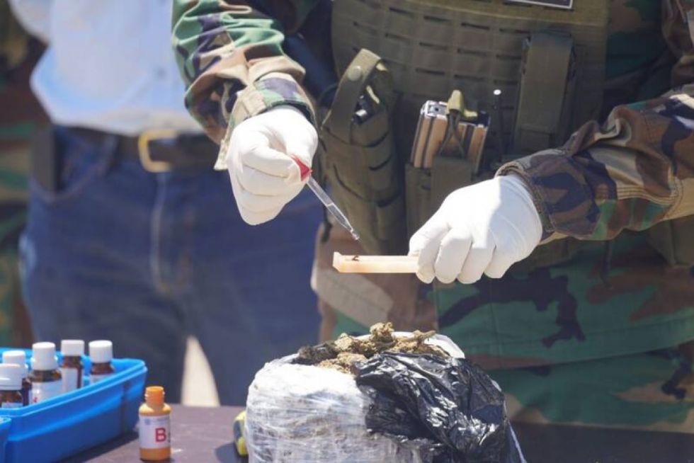 Secuestro de cocaína, marihuana y hongos alucinógenos afecta en $us 1,6 millones al narcotráfico en Santa Cruz