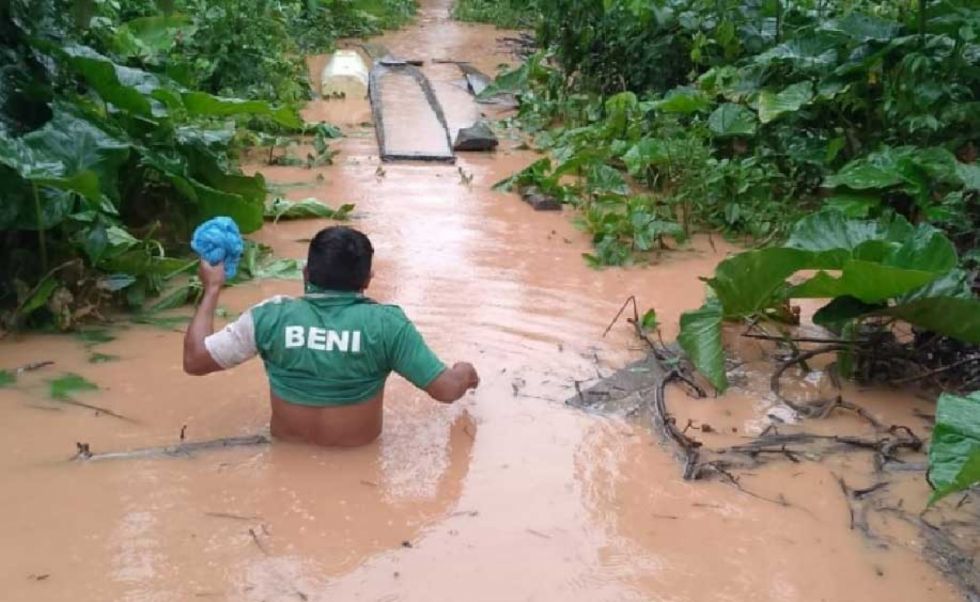 Cacao silvestre: Productores claman atención humanitaria