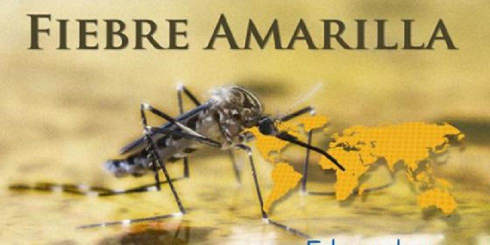 Fiebre amarilla: Alertan aumento en las Américas