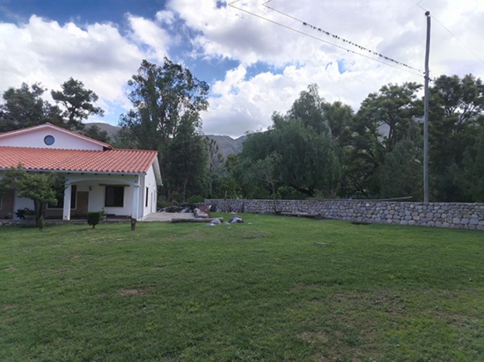 El verde que predomina en las fincas del Rincón de La Vitoria 