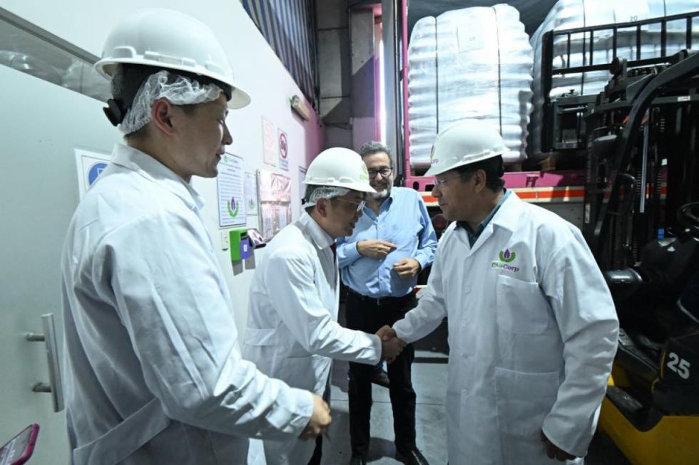 Bolivia inicia exportación de chía a China