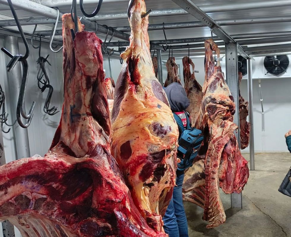 No descartan importar carne bovina de Argentina