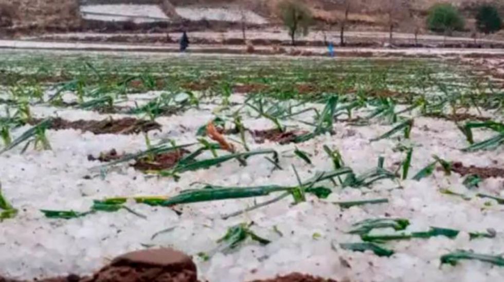 Bajas temperaturas afectan a 123 municipios