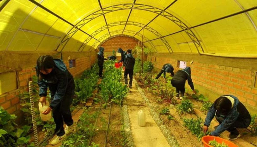 Alertan que la seguridad alimentaria está en riesgo