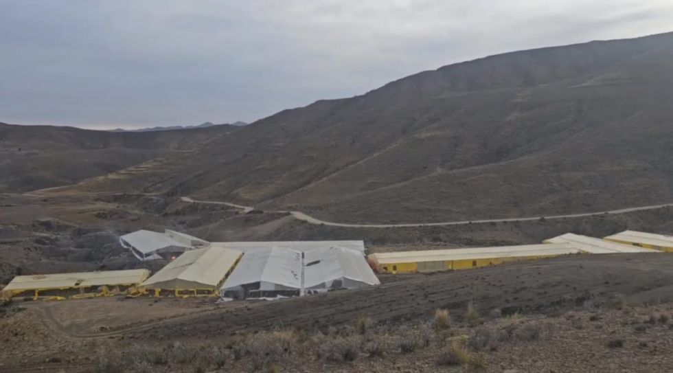 FELCN encuentra e incinera 63 viveros con 14,5 toneladas de marihuana cerca de Llallagua