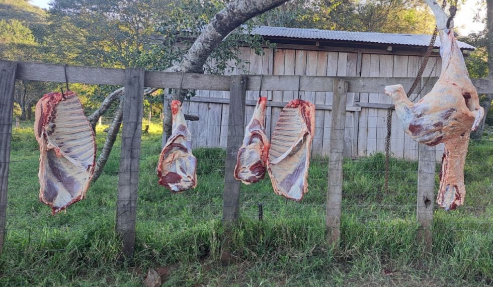 ¿Por dónde se va la carne?, los precios asfixian al consumidor