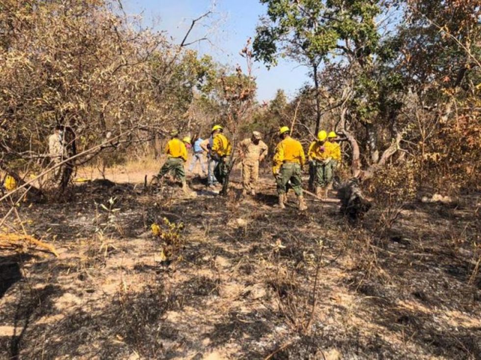 Defensa Civil reporta nueve focos de calor