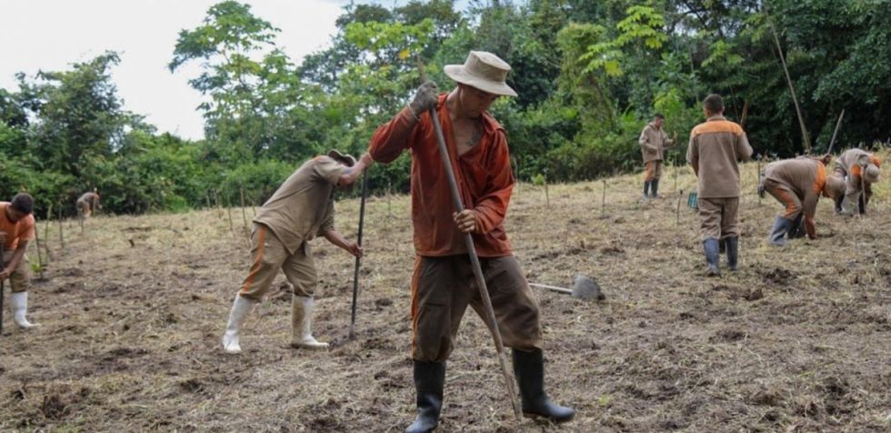 Divulgan avances de reforma agraria en Colombia