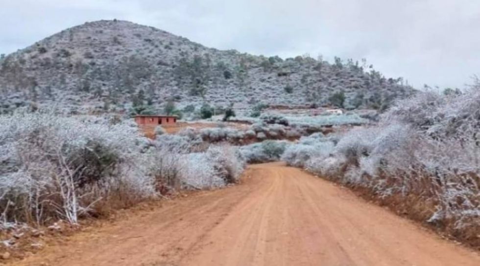 Senamhi: Alerta amarilla por vientos y heladas en Tarija 