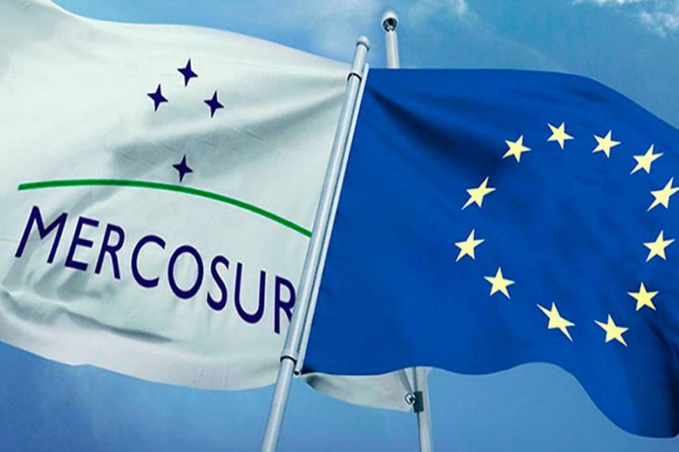 Mercosur-UE: sector del vino insta a la CE a adoptar acuerdo