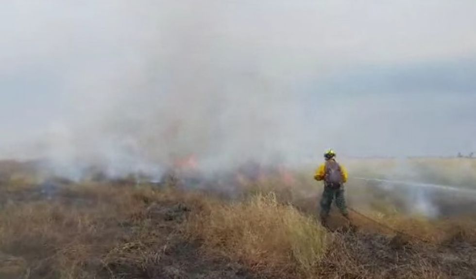 Bolivia registra 81 focos de calor