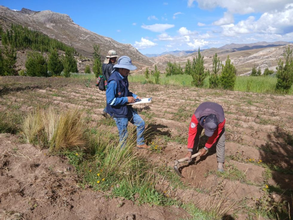 Heladas afectan a 237.000 productores
