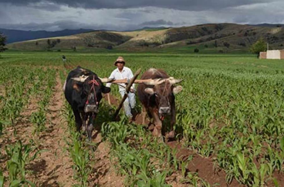 La FSUCCT alista ampliado por crisis del agro, migración y abandono
